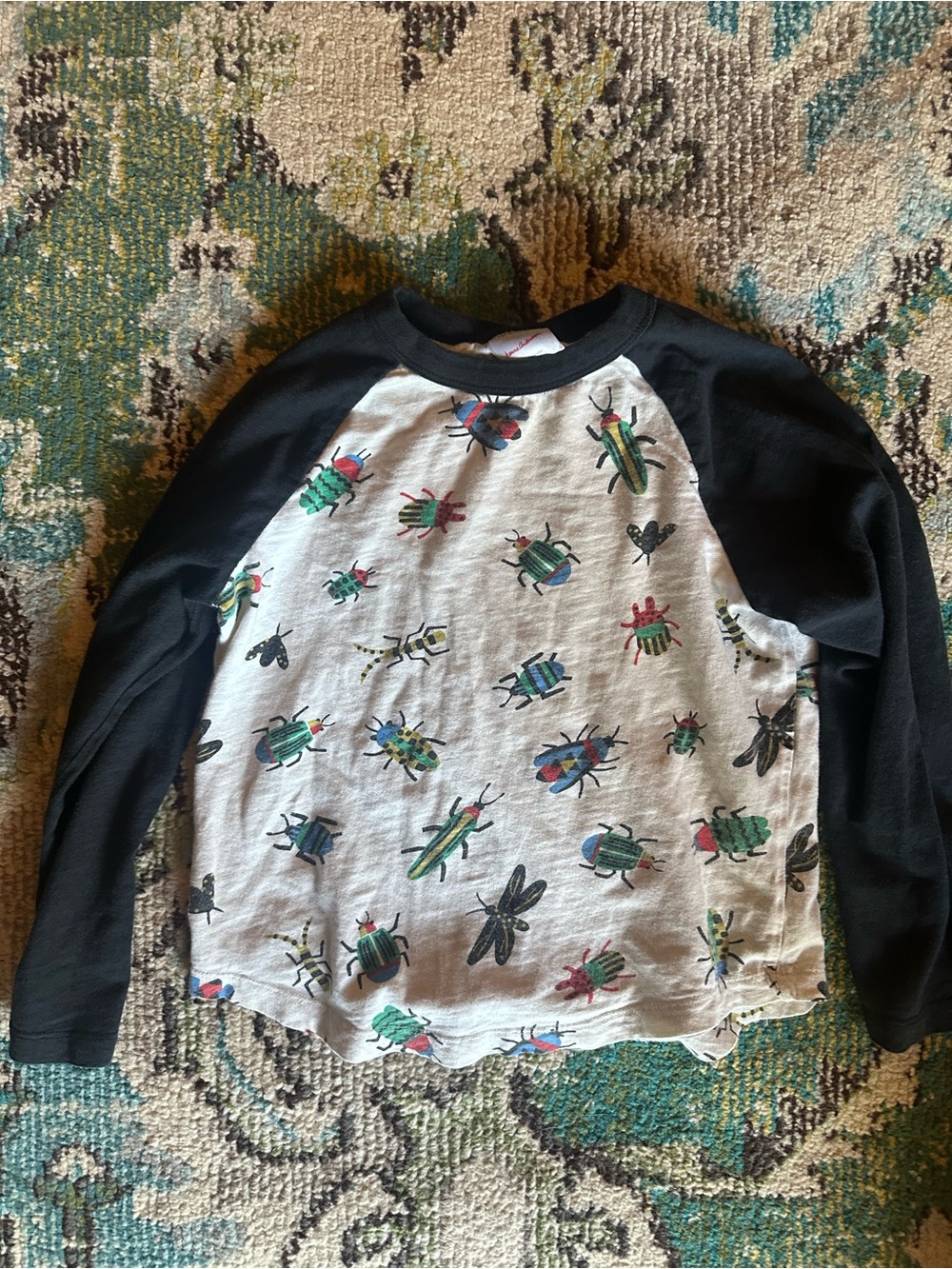 Hanna Andersson Black-Sleeve Raglan with Colorful Beetle Print